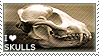 A stamp that read i heart skuls with the heart being an emoji. the image in the background is a animal skull that appears to be cat like